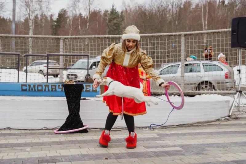 Животные дрессированные