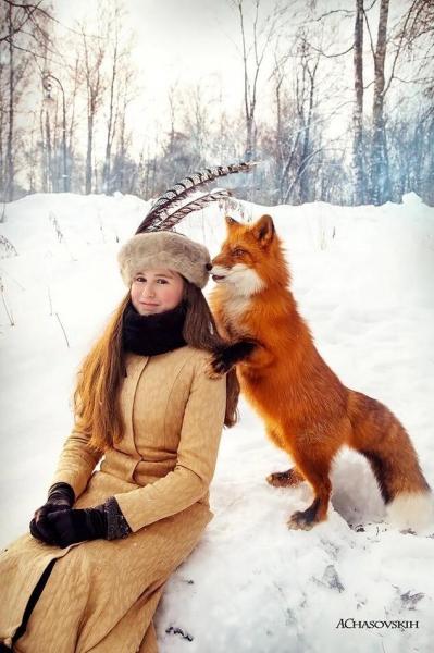 Животные дрессированные